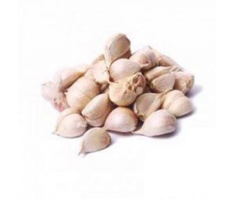 Split Garlic China