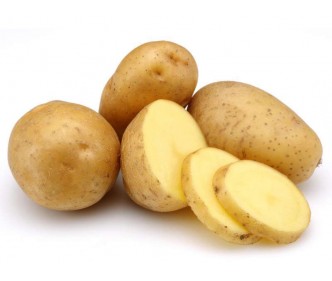 Holland Potato Unwashed China