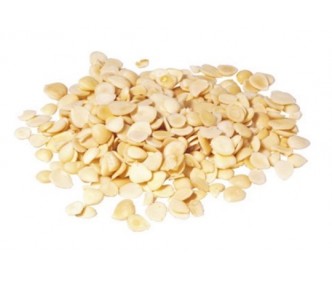 Bitter Apricot Kernel (Bei Xing)