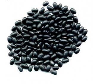 Black Bean