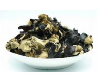 Black Fungus White Back