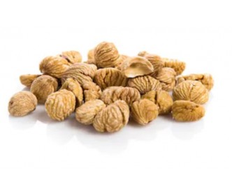 Chestnut 5L