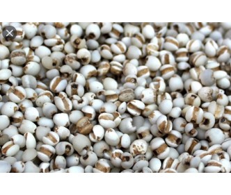 Pearl Barley China