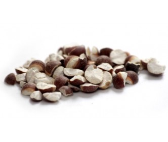 Euryale Seed (Qian Shi)