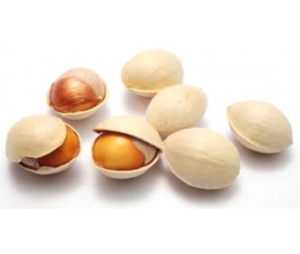 Gingko Nut