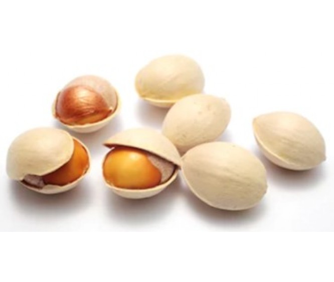 Beans, Seeds & Nuts