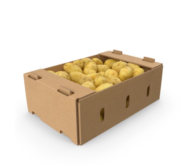 Vegetables