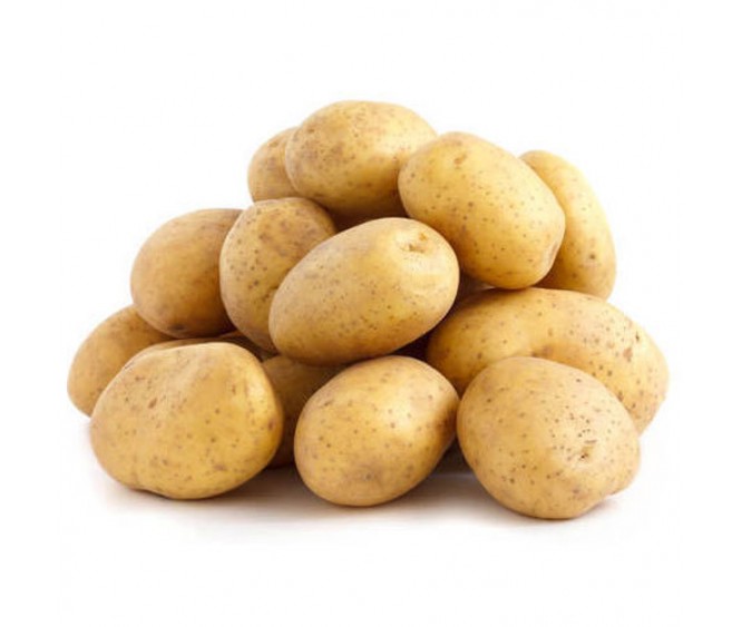 Holland Potato Washed China