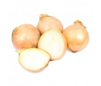 Yellow Onion Large Holland