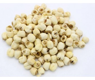 Lotus Seed (Lian Zi)
