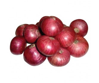 Red Onion India