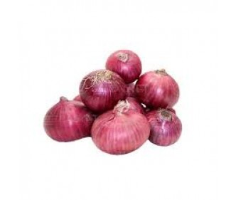 Red Onion Pakistan