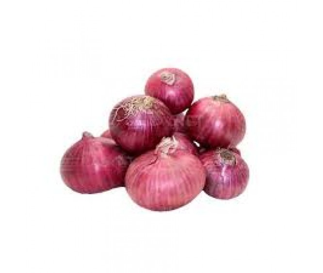 Red Onion Pakistan