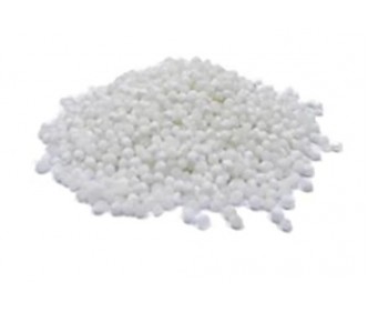 Sago Seed Large