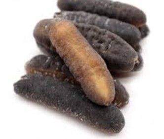 Dried Sea Cucumber 2