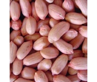 Shandong Peanut China