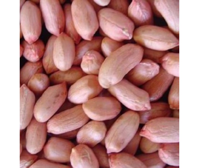 Beans, Seeds & Nuts