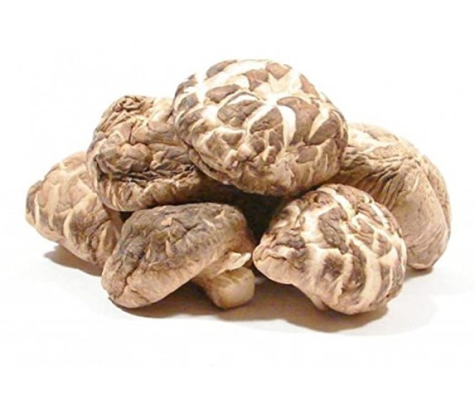 Dried Mushrooms & Fungus