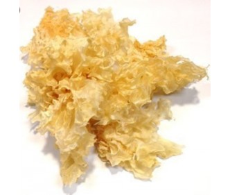 White Cloud's Ear Fungus