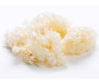 White Fungus Grade 1