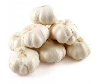 Whole Garlic China
