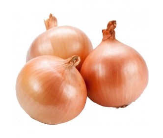Yellow Onion China