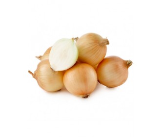Yellow Onion New Zealand